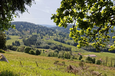 Réservation gîte Saulxures