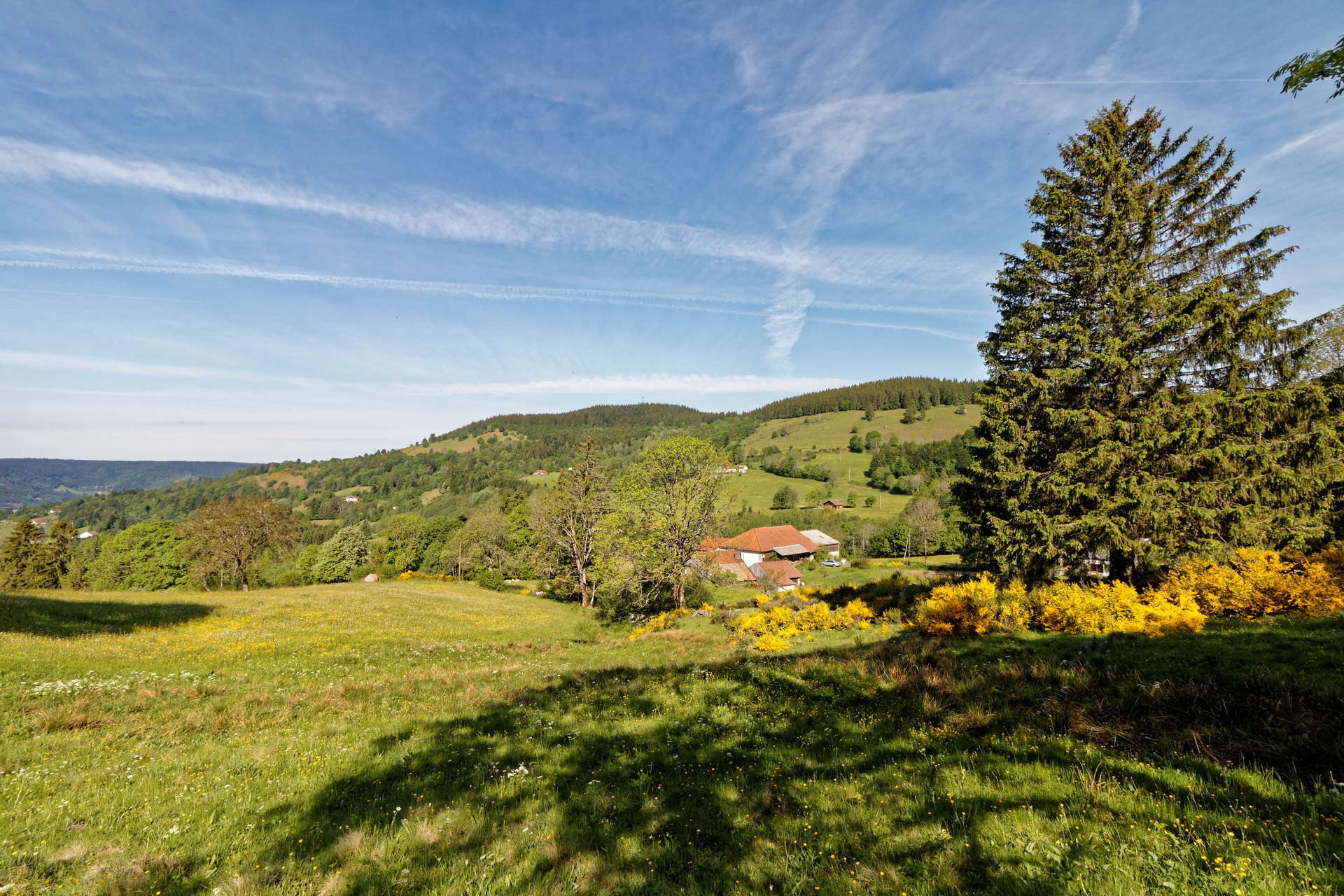 Découvrez notre domaine