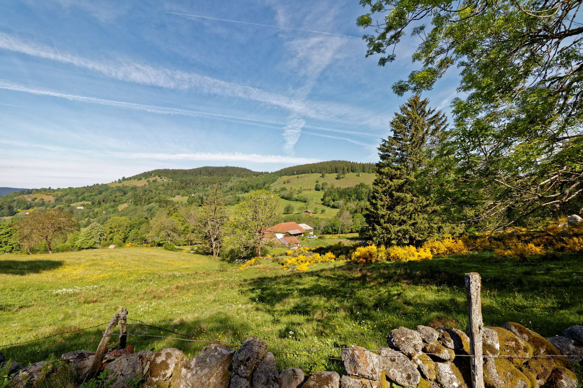 Vivez l'expérience Vosges